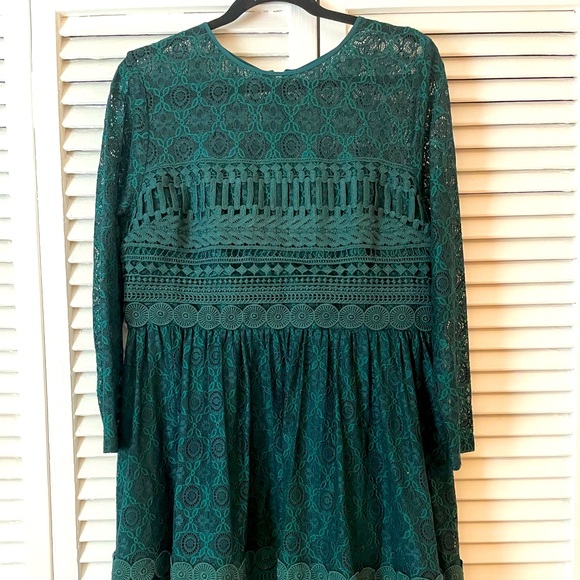 Forest Green Lace Long Sleeve Skater Dress by ASOS - Picture 6 of 7